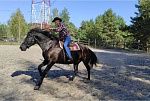 ТРЕЙЛ или РЕЙНИНГ? Впервые в Брянске!